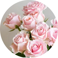 薄ピンク色のバラの花束